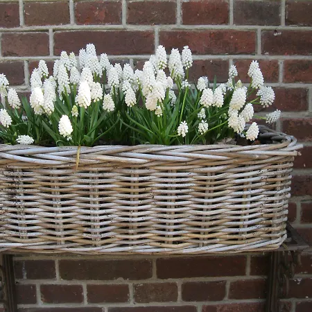 De Hofstal